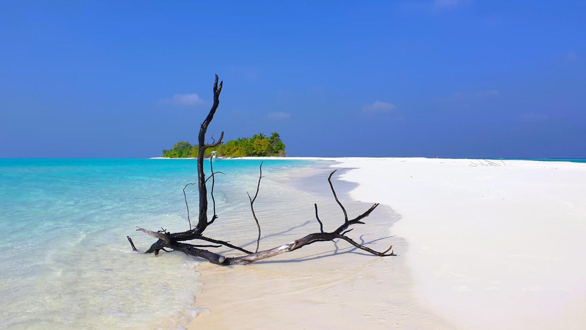 The Fulhadhoo Beach Cottage Exterior photo