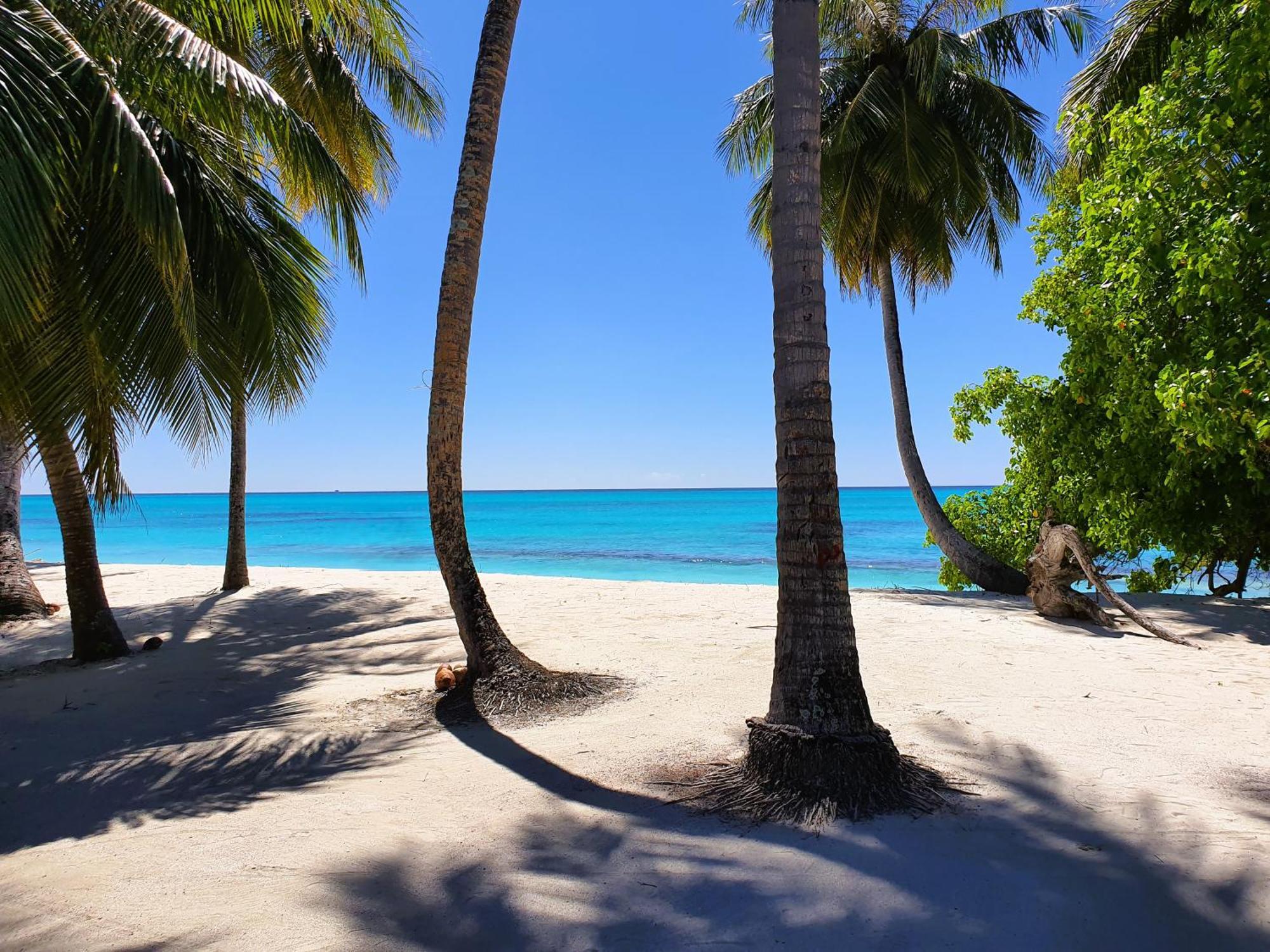 The Fulhadhoo Beach Cottage Exterior photo